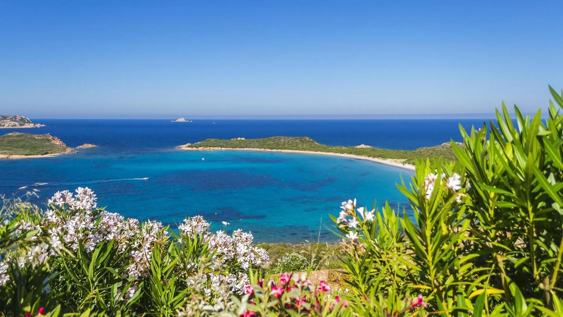 アパート Glori House 50M From Marina Di Olbia - Happy Rentals イタリア